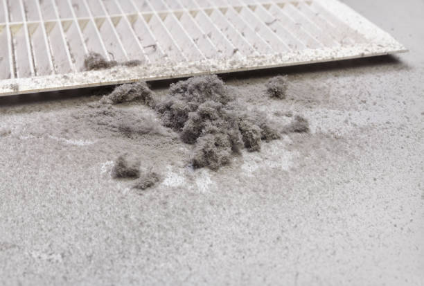 Best Residential Air Duct Cleaning  in Bridgeview, IL
