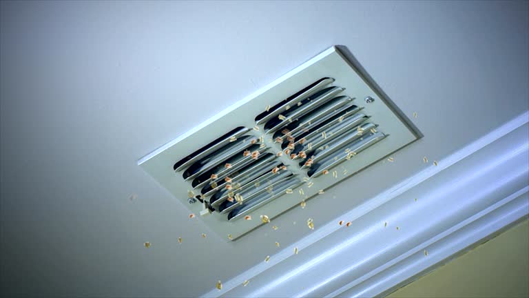 Best HVAC Duct Inspection Services  in Bridgeview, IL